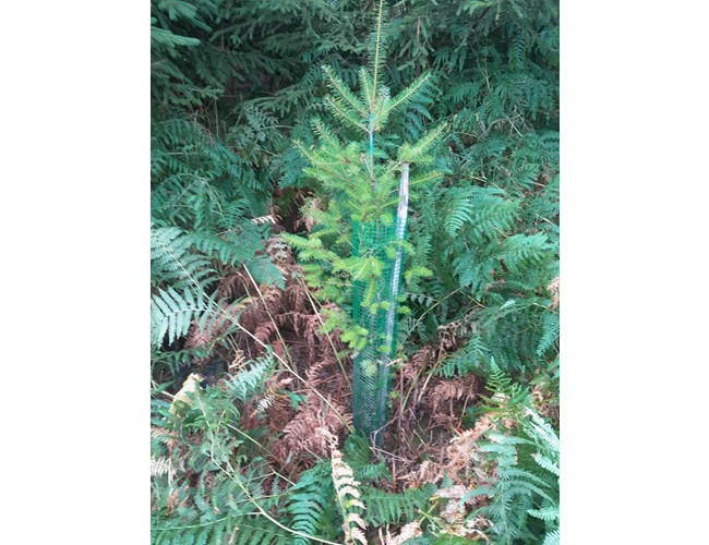 Manchon Tubex Layflat en rouleau Ø 30